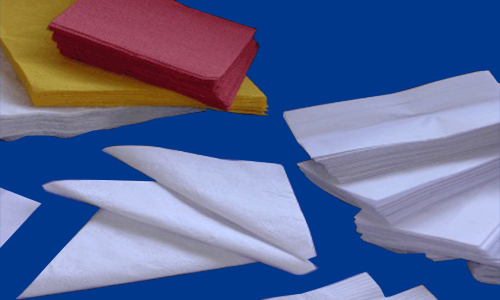 papel higienico toallas distribuidora delsur