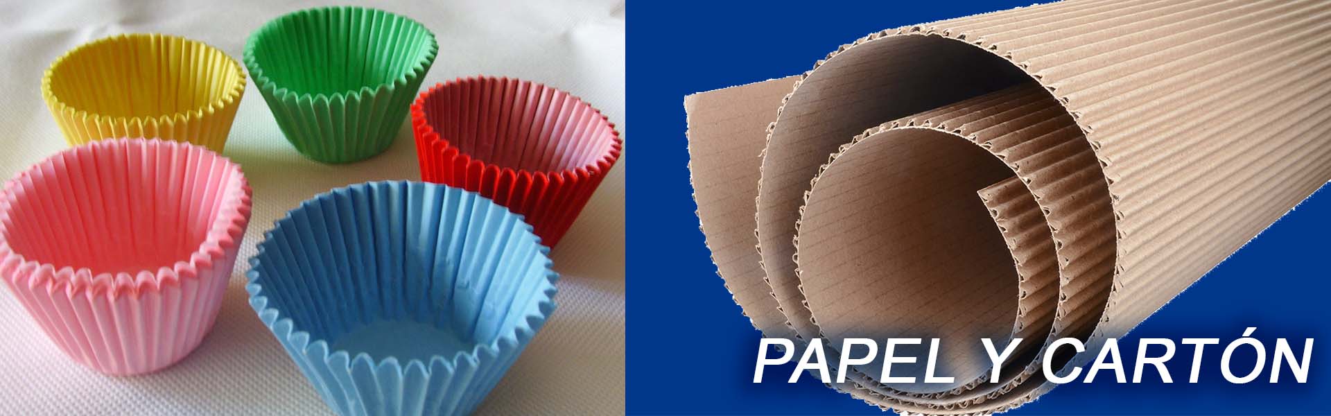 papel y carton distribuiudora delsur
